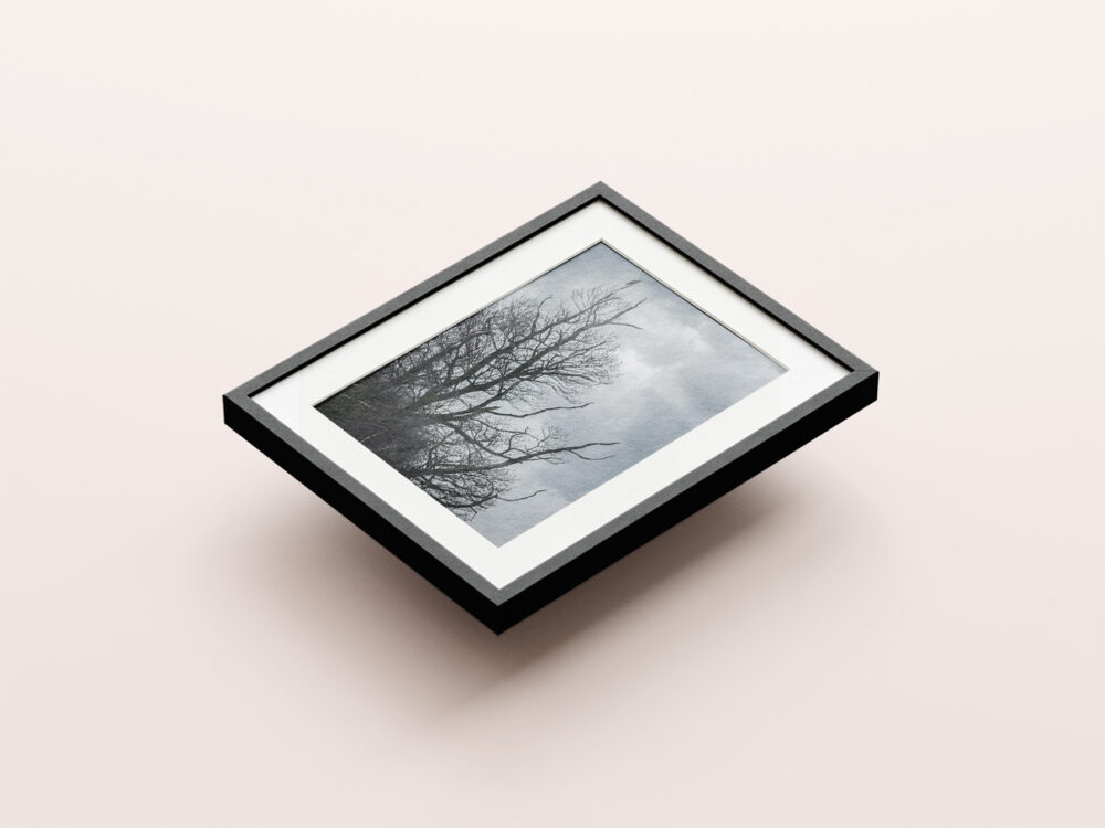 Carrion - Image 2