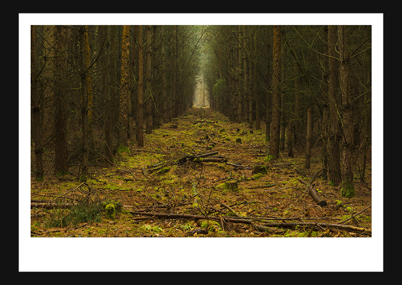 The Inside - Image 4