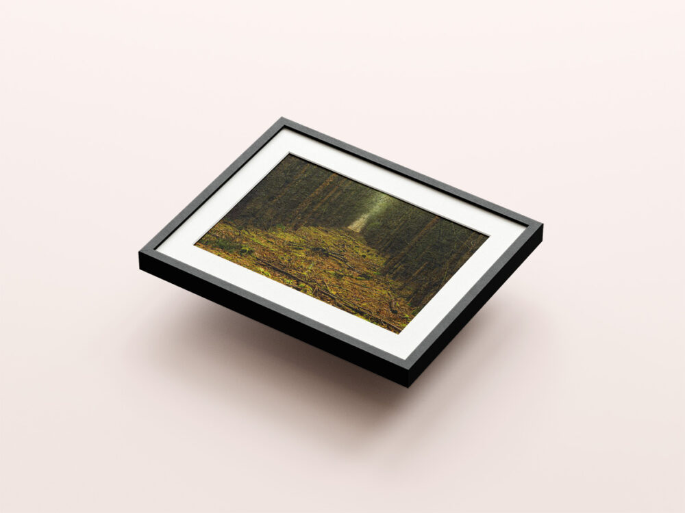 The Inside - Image 2