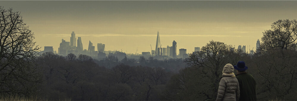 Skyline - Image 3